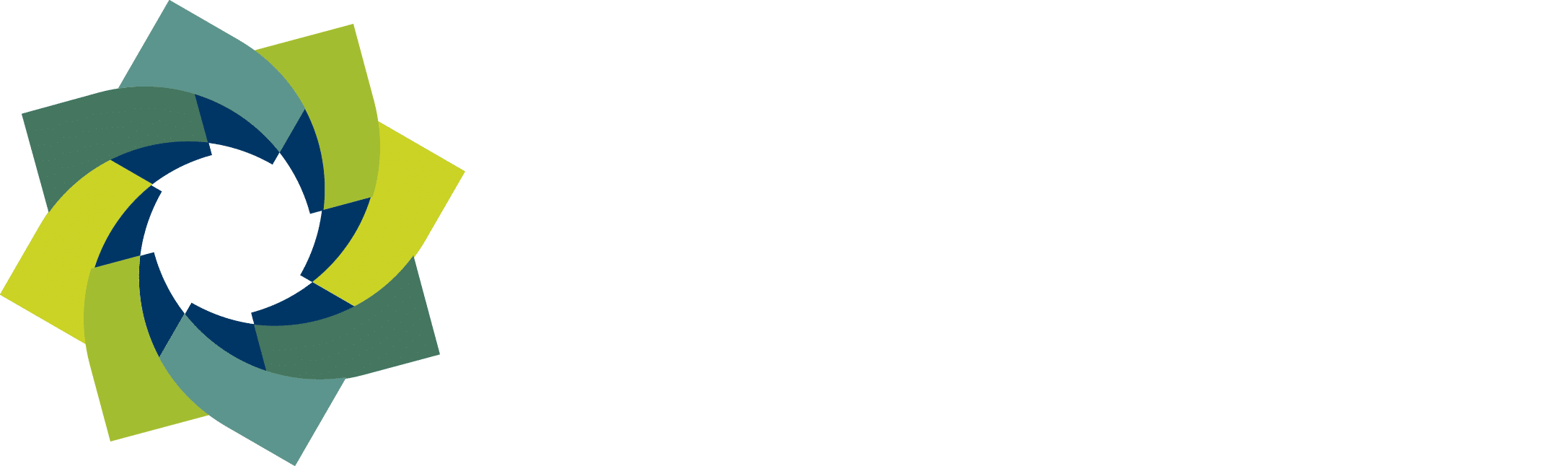 Q-Experts